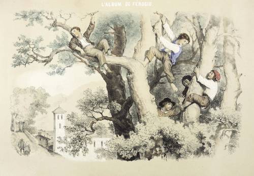 Ferogio, Fortuné - L'album de Ferogio - L'album de Ferogio - Kletternde Knaben in einer Baumkrone