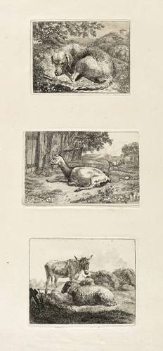 Nathe, Christoph -  -  - Schlafender Hund. Ruhende Ziege vor einem Zaun. Zwei Schafe und ein Esel