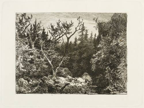 Weichberger, Eduard - Waldlandschaft  mit Fluss - Waldlandschaft  mit Fluss - 