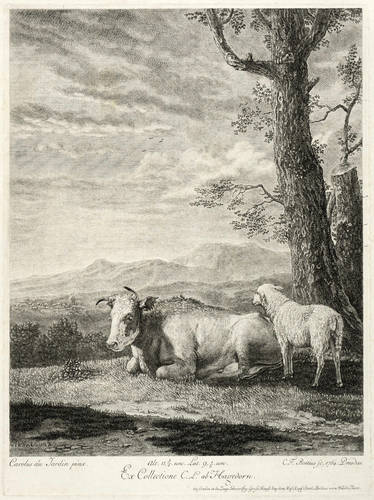 Boetius, Christian Friedrich -  -  - Liegende Kuh unterm Baum