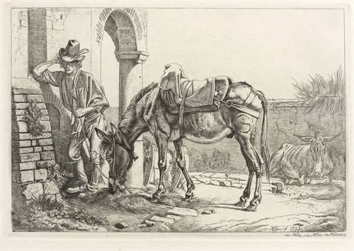 Klein, Johann Adam -  -  - Das fressende Maulthier an der Säule