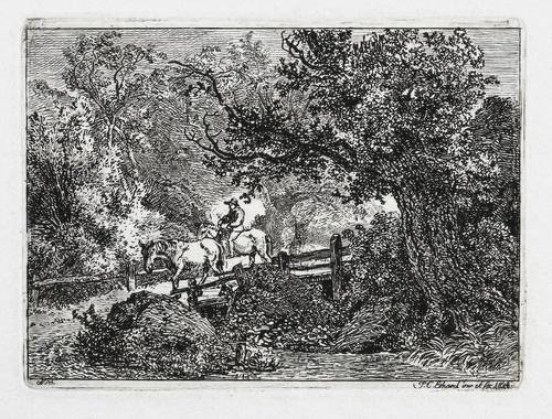 Erhard, Johann Christoph -  -  - Der reitende Bauer und das ungezäumte Pferd