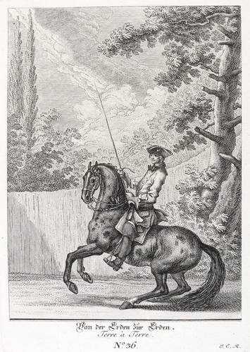 Ridinger, Johann Elias - Kleine Reitschule - Kleine Reitschule - Von der Erden zur Erden