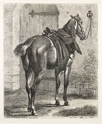 Klein, Johann Adam -  -  - Das Reitpferd am Mauerring