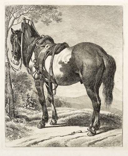 Klein, Johann Adam -  -  - Das Zugpferd am Baum