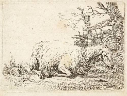 Kölbl, Anton (zugeschrieben) -  -  - Liegendes Schaf
