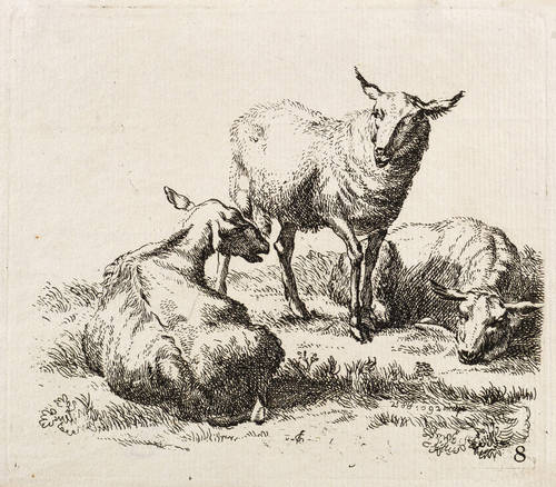 Berchem, Nicolaes (nach) -  -  - Drei Schafe