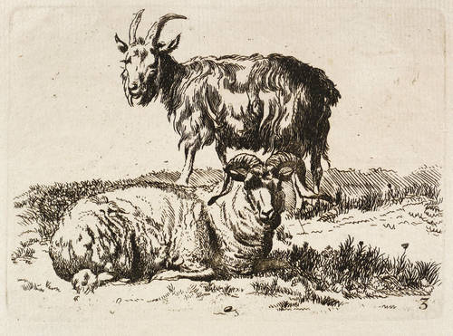 Berchem, Nicolaes (nach) -  -  - Ziege und liegendes Schaf
