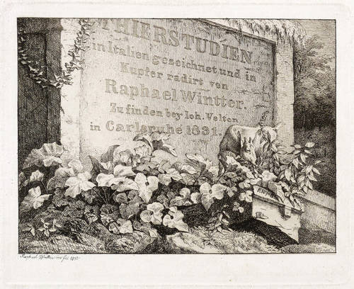 Winter, Raphael -  -  - Thierstudien in Italien gezeichnet und in Kupfer radirt ...
