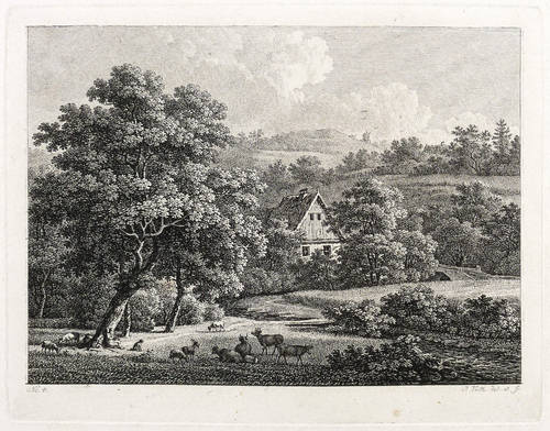 Veith, Johann Philipp -  -  - Grundstraße im Loschwitzgrund