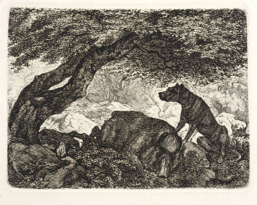 Wolff, Friedrich Anton -  -  - Jagdhund bei einem erlegten Wildschwein