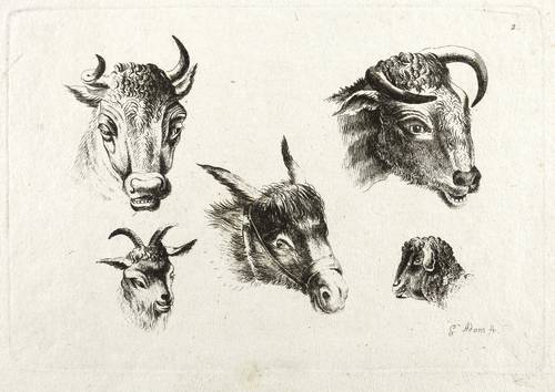 Adam, Georg -  -  - Studie mit Tierköpfen