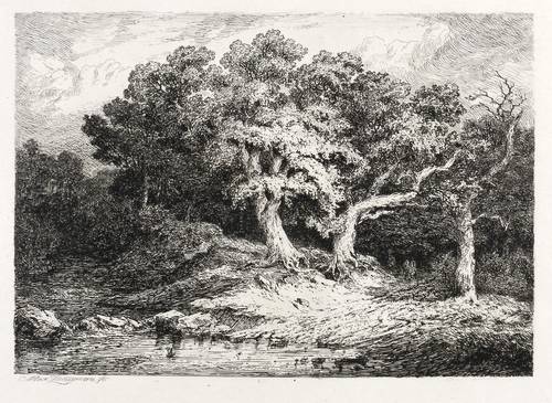 Zimmermann, Maximilian August -  -  - Waldlandschaft mit drei Eichen