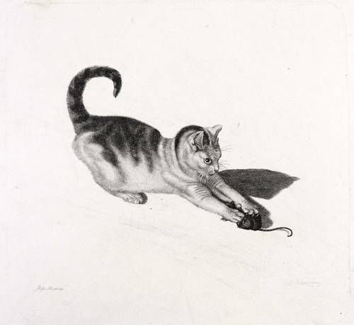 Mind, Gottfried (nach) - Daniel David Burgdorfer - Daniel David Burgdorfer - Katze mit Maus spielend