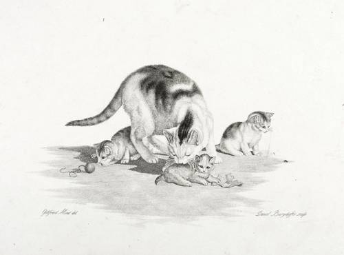Mind, Gottfried (nach) - Daniel David Burgdorfer - Daniel David Burgdorfer - Katze mit drei spielenden Jungen