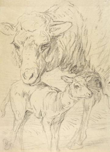 Specht, Friedrich -  -  - Schaf mit Lamm