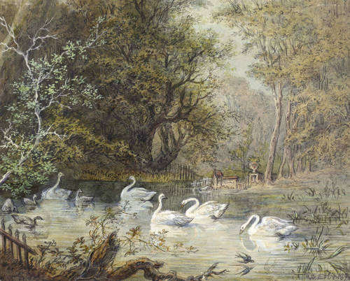 Erbe, Robert -  -  - Parkanlage mit Schwänen