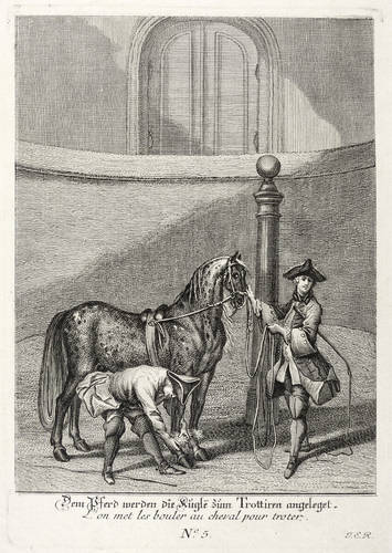 Ridinger, Johann Elias - Kleine Reitschule - Kleine Reitschule - Dem Pferd werden die Kugle[n] zum Trottiren angelegt