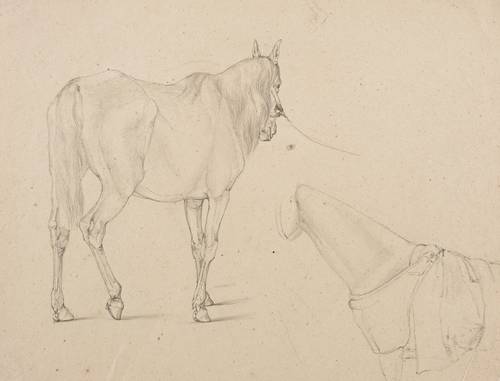 Klein, Johann Adam (zugeschr.) - Pferdestudie - Pferdestudie - 