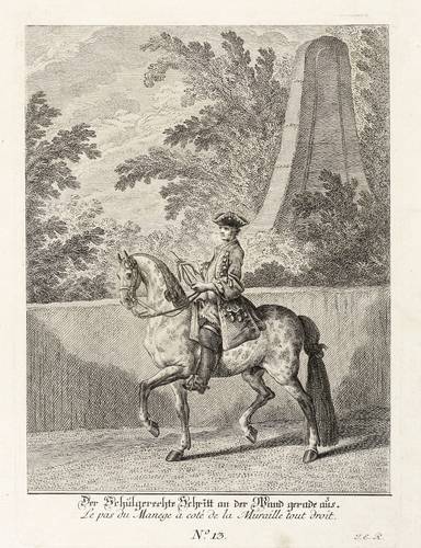 Ridinger, Johann Elias - Kleine Reitschule - Kleine Reitschule - Der Schulgerechte Schritt an der Wand gerade aus Le pas du Manege a Cotè de la Muraille tout droit