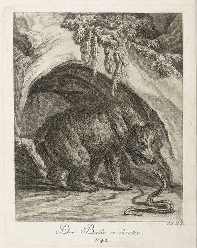 Ridinger, Johann Elias -  -  - Der Bär erschreckt