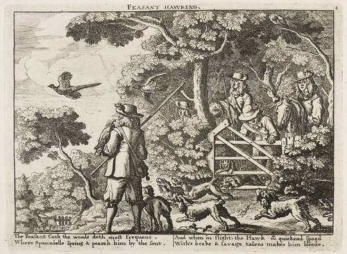 Hollar, Wenzel - Fasanenjagd - Fasanenjagd - Feasant Hawking