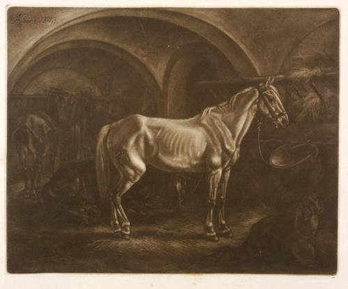 Klein, Johann Adam -  -  - Die Pferde im gewölbten Stall