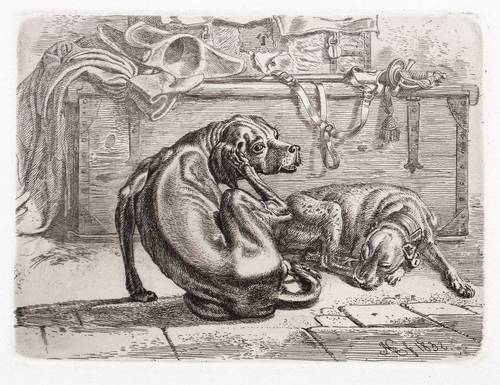Klein, Johann Adam -  -  - Die Hunde bei der Kiste