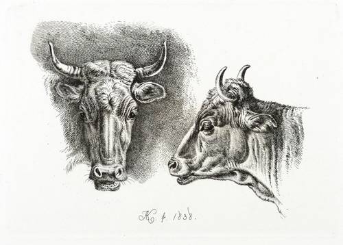 Klein, Johann Adam -  -  - Die beiden Kuhköpfe