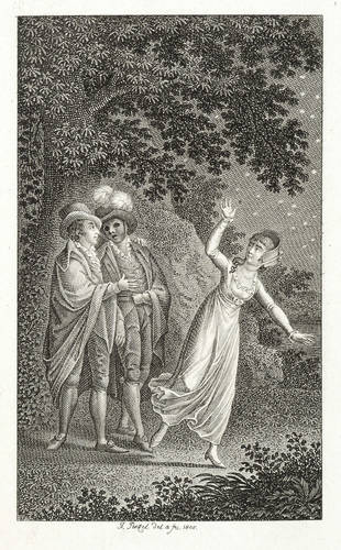 Penzel, Johann Georg -  -  - Nächtliches Rendevouz (Naubert)