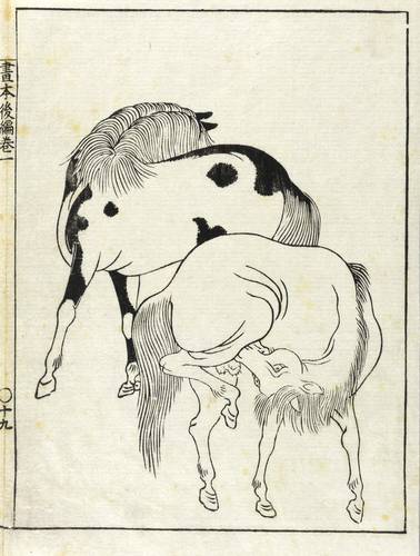 Japanisch (19. Jh.) -  -  - Zwei Pferde