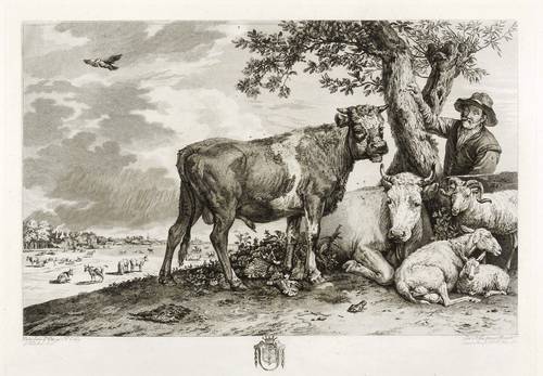 Le Bas, Jacque Philippe & Masquelier, Louis-Joseph - Nach Paulus Potter - Nach Paulus Potter - Der Stier