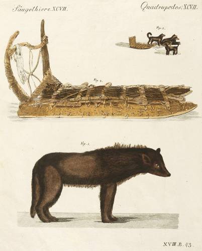 Hunde - Schlittenhund & Schlitten - Schlittenhund & Schlitten - 