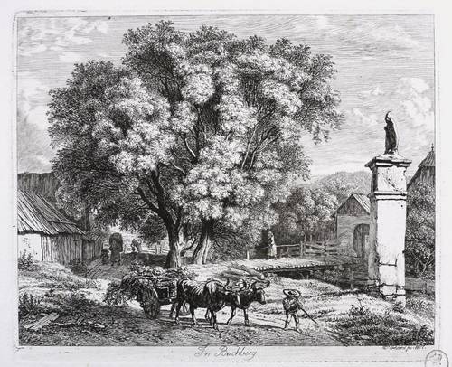 Erhard, Johann Christoph - Sechs Ansichten aus den Umgebungen des Schneeberges bei Wiener-Neustadt - Sechs Ansichten aus den Umgebungen des Schneeberges bei Wiener-Neustadt - In Buchberg (Puchberg am Schneeberg)