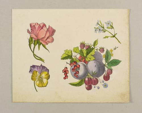 Blüten & Obst - Rose, Stiefmütterchen, Pflaumen & Kirschen - Rose, Stiefmütterchen, Pflaumen & Kirschen - 