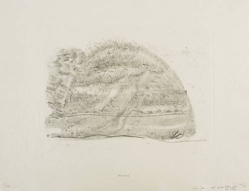 Altenbourg, Gerhard -  -  - Gras, Gras: - sieh -, wo die Bläue nistet des Tales