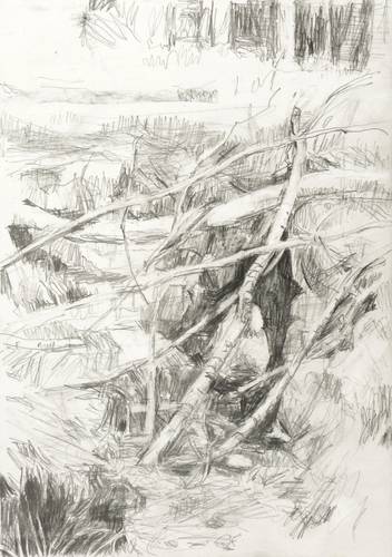 Bleidorn, Lutz - Dresdner Heide - Dresdner Heide - Durchlass am Brillenbach