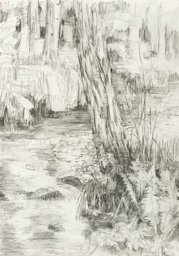 Bleidorn, Lutz - Dresdner Heide - Dresdner Heide - Juni an der Prießnitz