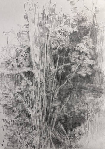 Bleidorn, Lutz -  -  - Am Waldteich (Dresdner Heide)