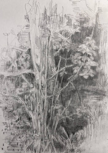 Bleidorn, Lutz -  -  - Am Waldteich (Dresdner Heide)