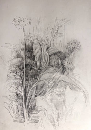 Bleidorn, Lutz -  -  - Blühender Bärlauch