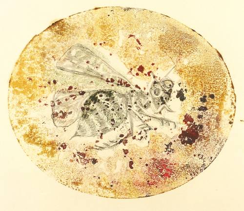 Böttcher, Agathe -  -  - Insekt II