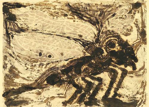 Böttcher, Agathe -  -  - Insekt