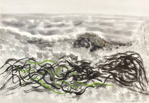 Böttcher, Agathe -  -  - Seetang am Strand