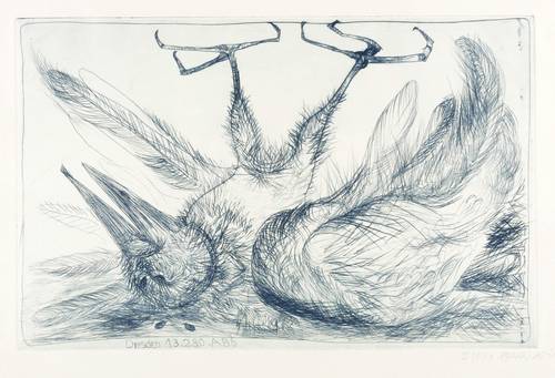 Böttcher, Agathe -  -  - Der gestürzte Rabe (Dresden 13. Februar)