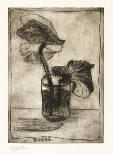 Böttcher, Agathe -  -  - Glas mit Alpenveilchen