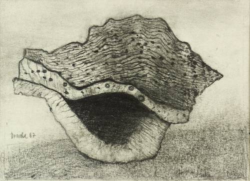 Drache, Heinz -  -  - Muschel