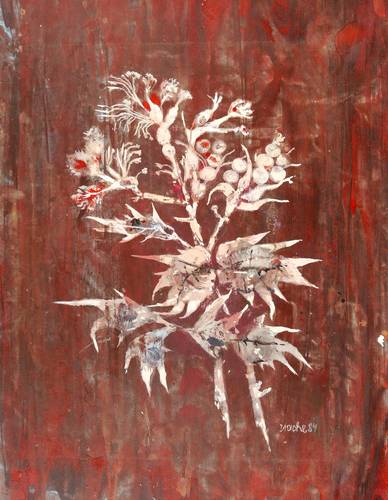 Drache, Heinz -  -  - Distel