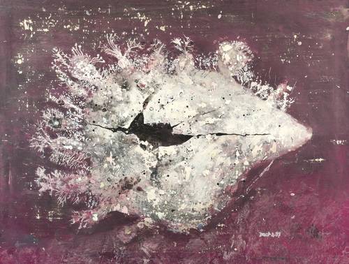 Drache, Heinz -  -  - Muschel