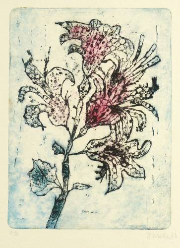 Drache, Heinz -  -  - Graziler Blütenzweig